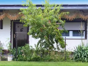 Bungalow für 2 Personen (25 m²) in Lübben