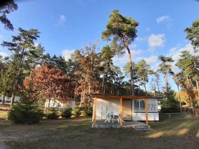 Bungalow für 4 Personen (32 m²) in Lychen 2/10