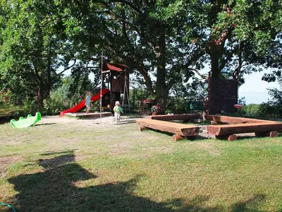 ViewSummer