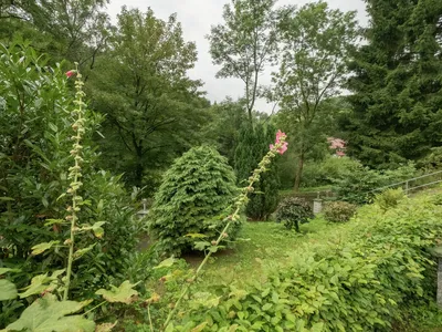 GardenSummer