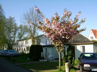 Bungalow für 2 Personen (35 m²) in Ostseebad Kühlungsborn 3/10