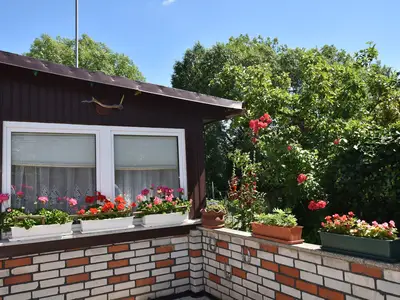 GardenSummer