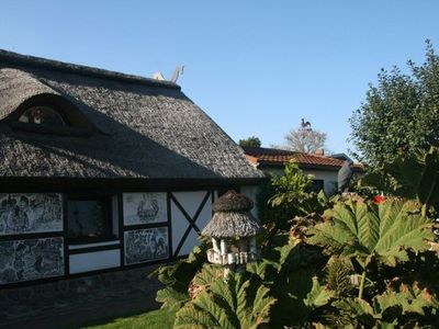 Bungalow für 6 Personen (80 m²) in Rerik (Ostseebad) 4/10