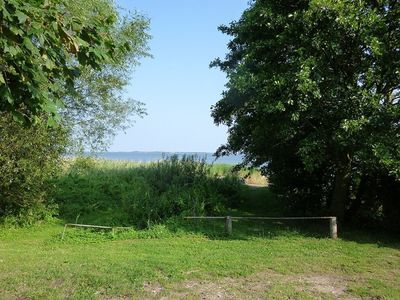 Bungalow für 2 Personen (50 m²) in Ribnitz-Damgarten 5/10