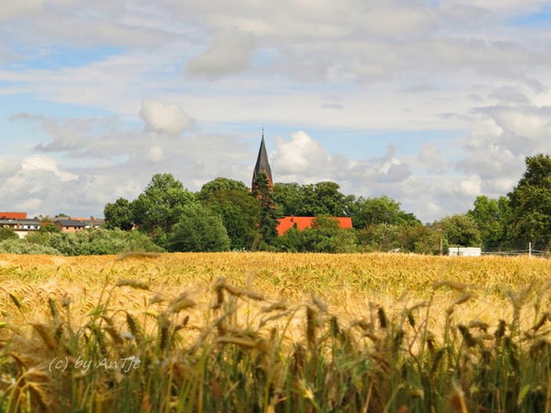 18591525-Bungalow-5-Ribnitz-Damgarten-800x600-2