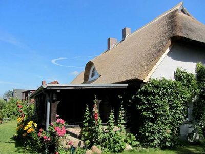 Bungalow für 2 Personen (25 m²) in Ribnitz-Damgarten 3/10