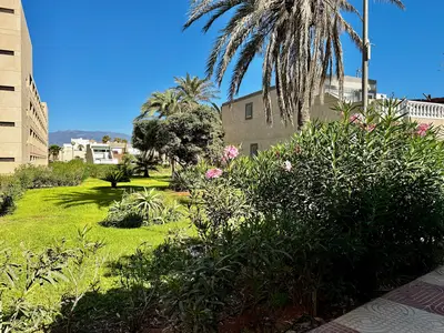 GardenSummer