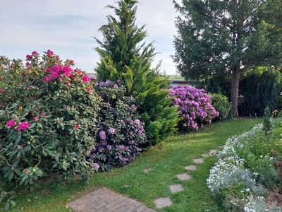 Bungalow für 3 Personen (40 m²) in Ruttersdorf-Lotschen 9/10