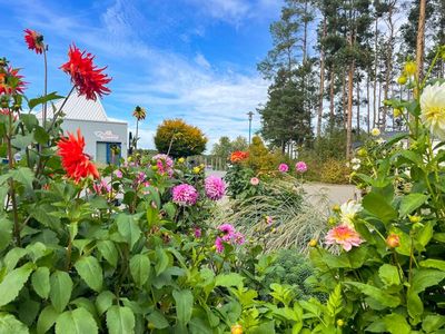 Bungalow für 3 Personen in Senftenberg 3/10