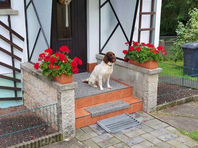 Bungalow für 4 Personen (50 m²) in Sorge 3/10