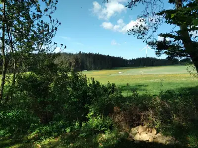 Zinipi FINN