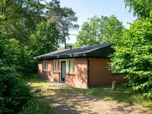 Bungalow für 4 Personen (51 m²) in Putten