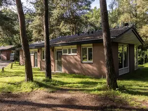 Bungalow für 4 Personen (50 m²) in Putten