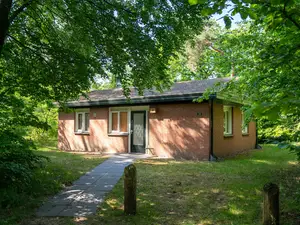 Bungalow für 4 Personen (50 m²) in Putten