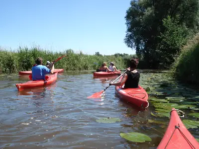 Bungalow für 6 Personen in Julianadorp 1/10