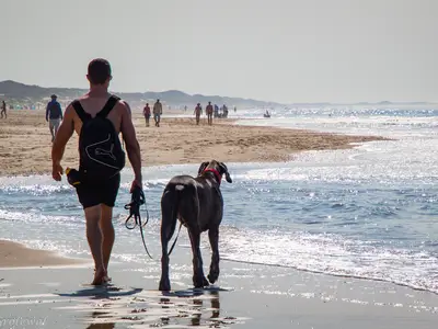 Bungalow für 4 Personen in De Zandloper 9/10
