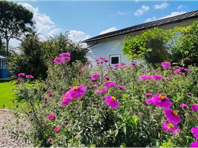 Bungalow für 5 Personen (120 m²) in Westfehmarn 3/10