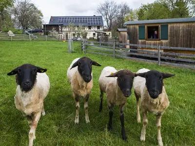 2024-0410-berghof-marcusdassler65be