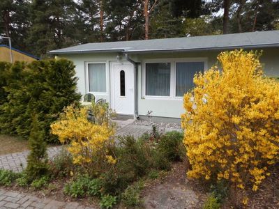 Bungalow für 4 Personen (43 m²) in Zinnowitz 1/10