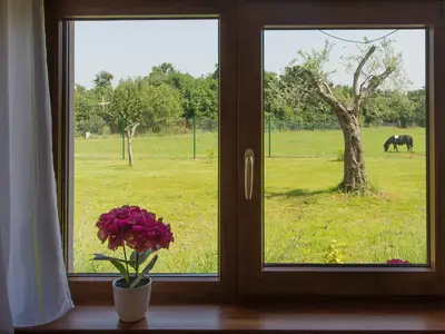 Blick vom Haus