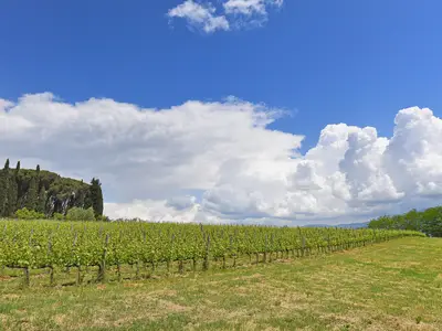 Standort der Immobilie