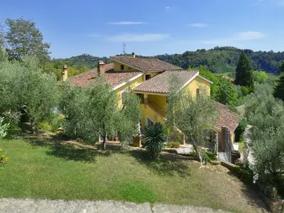 Das Grundstück inmitten des Olivenhains