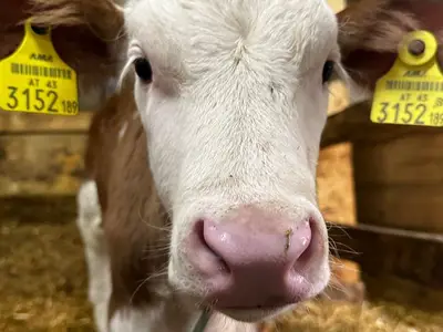 Doppelzimmer für 2 Personen (15 m²) in Assach 2/10