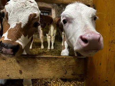 Doppelzimmer für 2 Personen (15 m²) in Assach 10/10