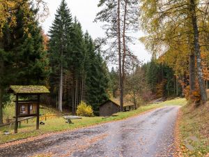 22023361-Doppelzimmer-2-Altensteig-300x225-4