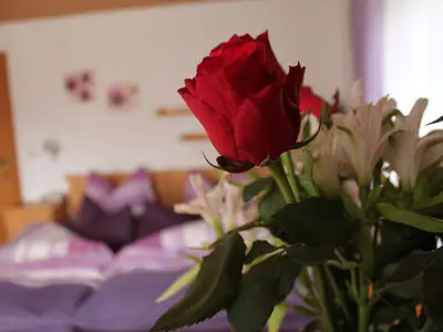 Das gemütliche und helle Doppelzimmer lädt zum Erholen nach erlebnisreichen Tagen ein!