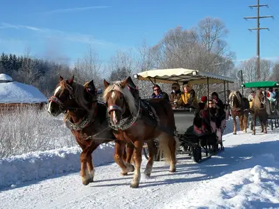Pferdeschlittenfahrt