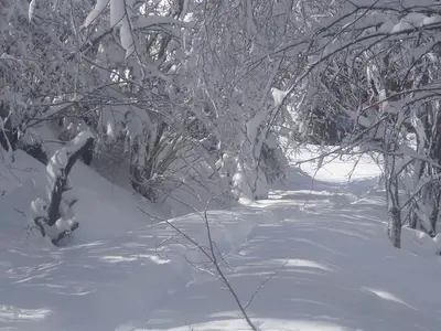 Doppelzimmer für 4 Personen (20 m²) in Arriach 9/10