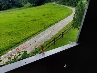 Balkon mit Blick ins Grüne