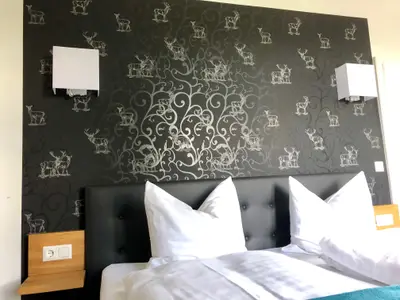 Doppelzimmer für 2 Personen (23 m²) in Bad Alexandersbad 5/8