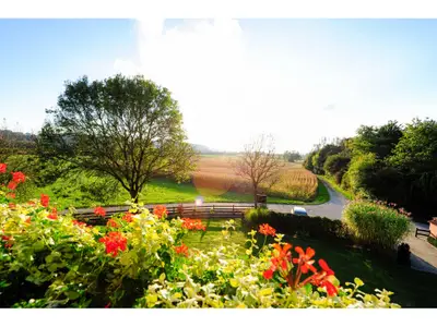 Doppelzimmer für 2 Personen (25 m²) in Bad Birnbach 7/8