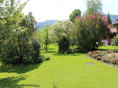 Ausblick auf den Garten