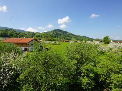 Blick in den Garten