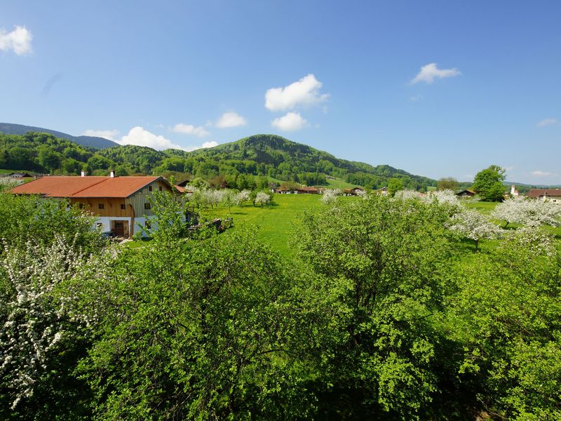 15224770-Doppelzimmer-2-Bad Feilnbach-800x600-2