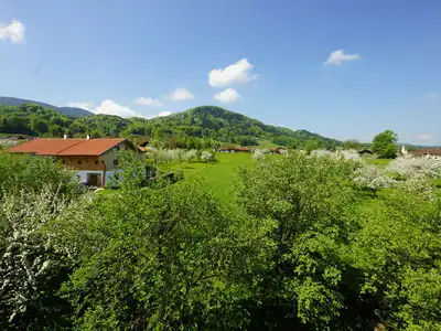 Blick in den Garten