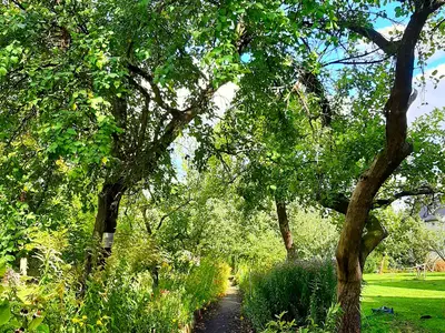 Doppelzimmer für 2 Personen (12 m²) in Bad Freienwalde 10/10