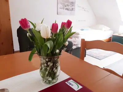 Doppelzimmer für 2 Personen (18 m²) in Bad Freienwalde 6/10