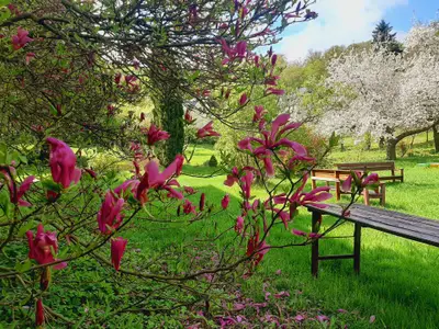 Doppelzimmer für 2 Personen (12 m²) in Bad Freienwalde 4/10