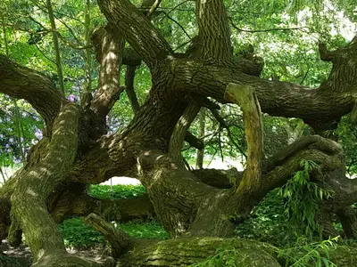 Doppelzimmer für 2 Personen (12 m²) in Bad Freienwalde 6/10