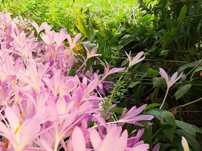 Doppelzimmer für 2 Personen (12 m²) in Bad Freienwalde 10/10