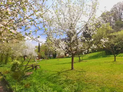 Doppelzimmer für 2 Personen (12 m²) in Bad Freienwalde 2/10