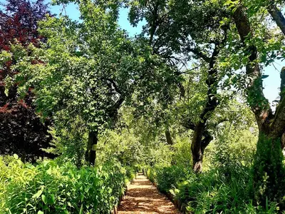Doppelzimmer für 2 Personen (39 m²) in Bad Freienwalde 9/10
