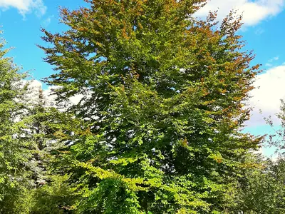 Doppelzimmer für 2 Personen (39 m²) in Bad Freienwalde 10/10