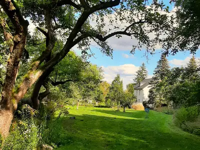 Doppelzimmer für 2 Personen (18 m²) in Bad Freienwalde 7/10