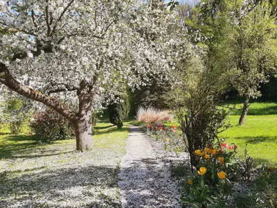 Doppelzimmer für 2 Personen (18 m²) in Bad Freienwalde 10/10