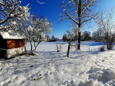 Garten Winter